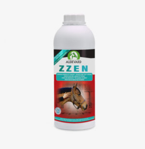 Zzen, 1 L