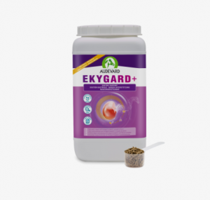 Ekygard+, 2.4kg